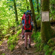 Wandern im Bannwald, Klaus Hansen