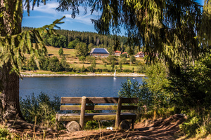 Rastbank am Schluchsee