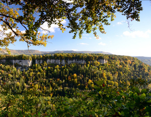 Blick zu den Wutachflhen, Martin Schwenninger